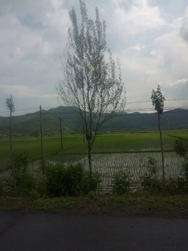 浪漫的集体露营,浪漫的第一次