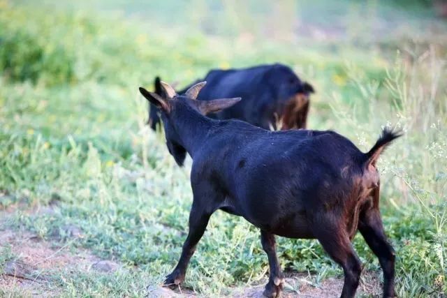 广东佛山原生态休闲酒店,佛山品质酒店