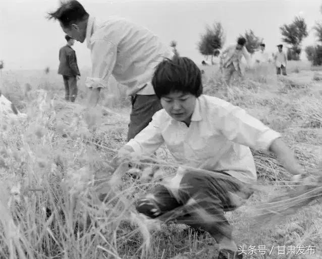 莫高窟人的青春《芳华》，只为守护1700年敦煌，靠这项技术让敦煌永远年轻