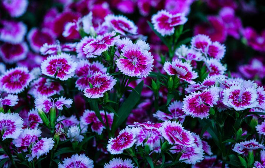 当你的人生陷入绝望,当你人生陷入困局