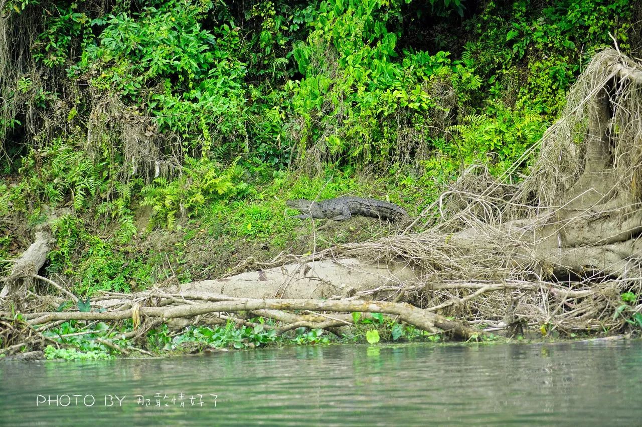尼泊尔必买商品,尼泊尔购物街必买清单