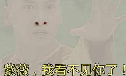 白本护照如何走遍全世界,护照白本推荐国家