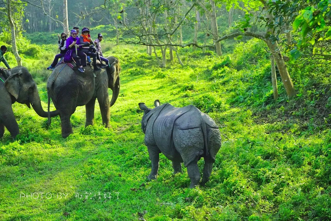 尼泊尔必买商品,尼泊尔购物街必买清单