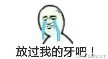 河北宠粮怎么样,河北宠粮