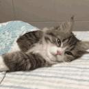 建材直采团,武汉直采