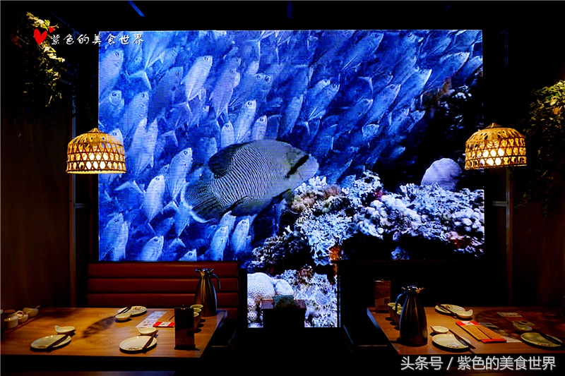 北京吃的饺子,青岛船歌鱼水饺总店是哪家