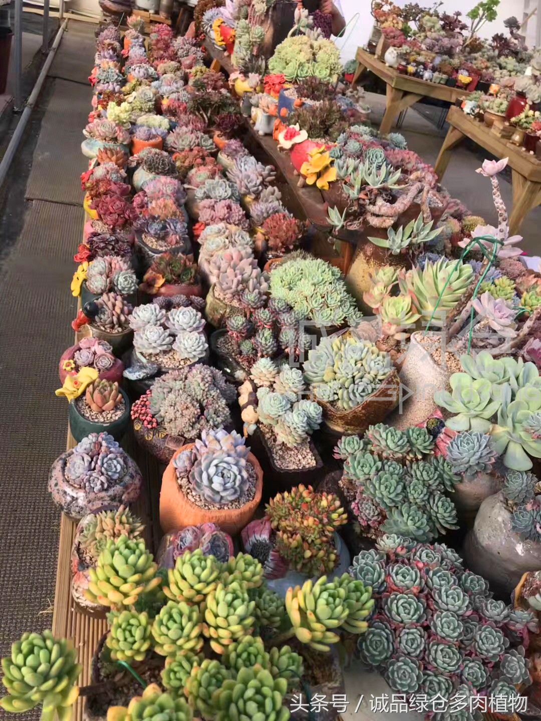 满足你对的所有幻想,满足你对生活所有的想象