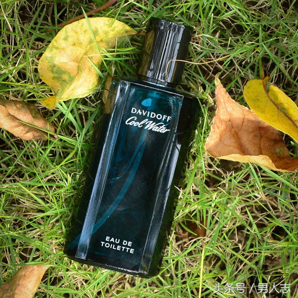 Bvlgari男性淡香水,十大公认最好闻的男士淡香水推荐