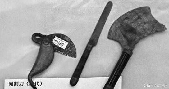 非生活所迫谁人愿意进宫做太监？身体不得保全伴君还如伴虎！