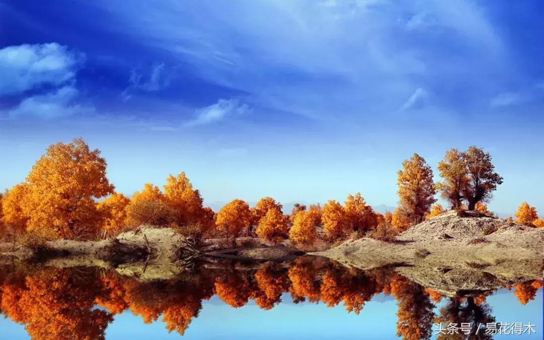 凉州词王之涣台词,王之涣凉州词简介