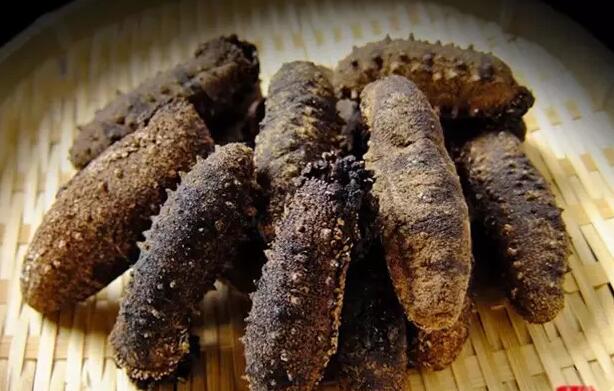 海参也有很多种,全世界所有可以吃的海参