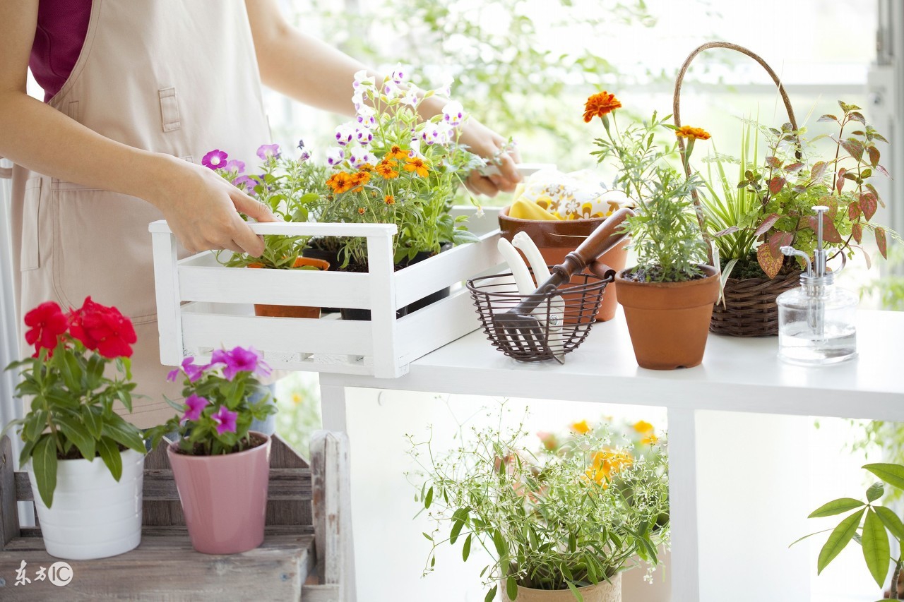 90后低成本创业项目适合穷人创业,有哪些无本钱创业推荐的项目