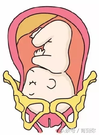 孕晚期肚子下去了又上来了,孕晚期肚子下沉是要发动了吗
