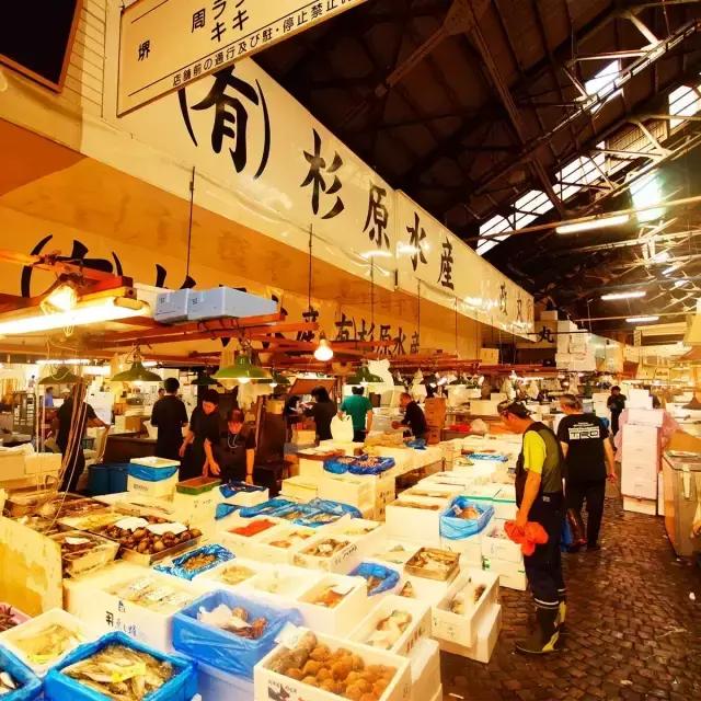 日本的海鲜市场现在最新情况,日本青森海鲜市场