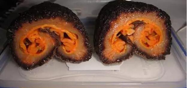 带您了解世界海参,你知道全球有多少种鲨鱼吗