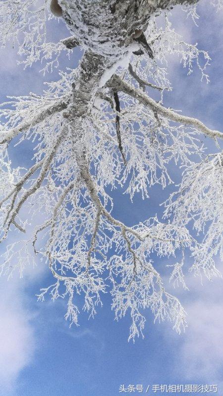 这就是所谓“别人家拍的雪景”：佳作推荐第46期