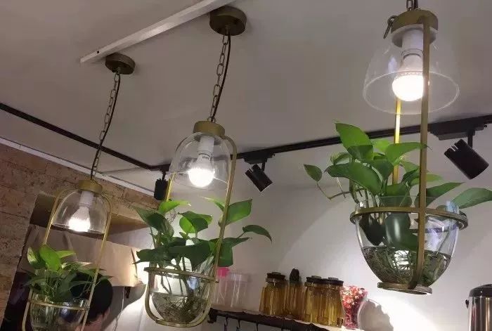 南京奶茶盘点,南京奶茶排行榜全部