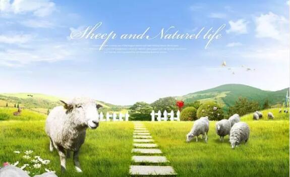 田园综合体优秀案例——台湾清境农场！