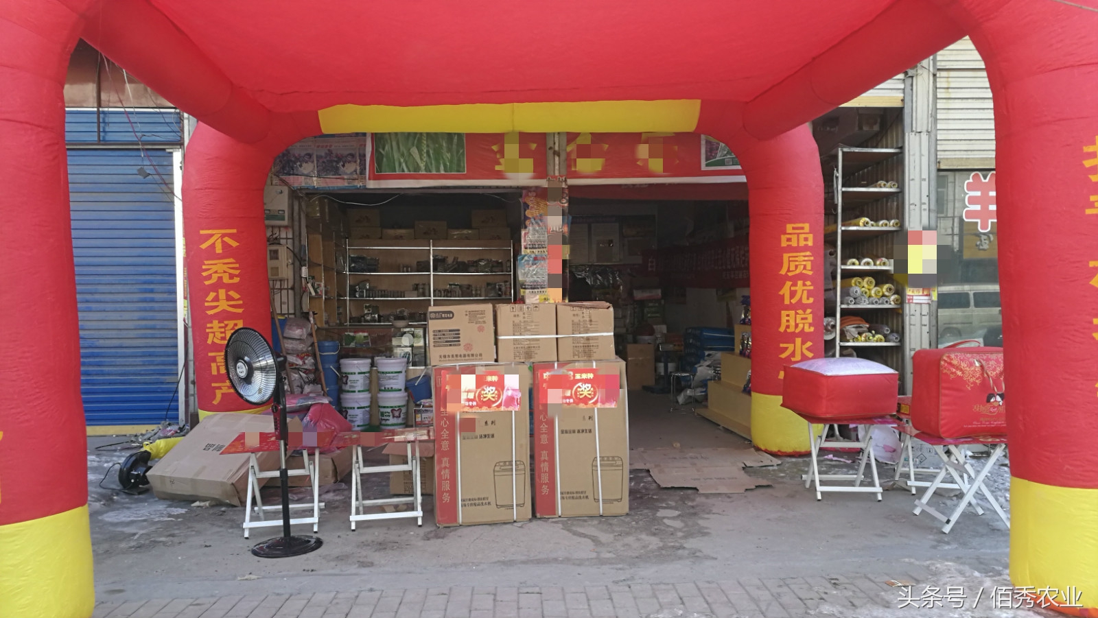 玉米挣钱了么,玉米种植的经济效益怎么样