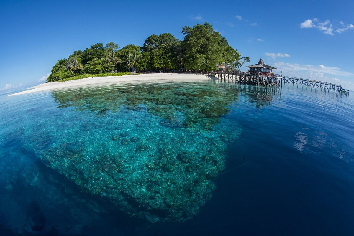 必须要去三亚的理由,去沙巴的十个理由