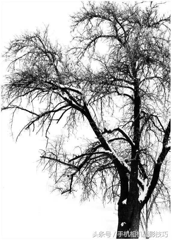 最普通的雪景拍摄感觉,看看你们拍的雪景是什么样的