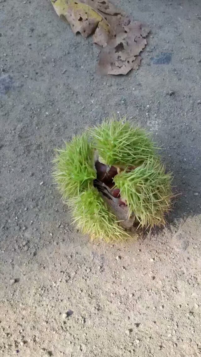 自驾游西峪水库,迁西大黑汀水库自驾游