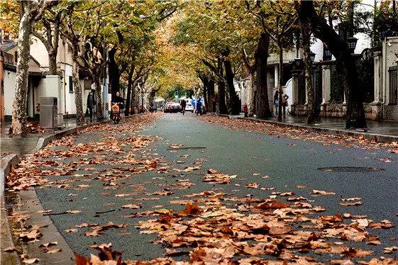 魔都最值得逛的76条马路,你都逛过了吗?