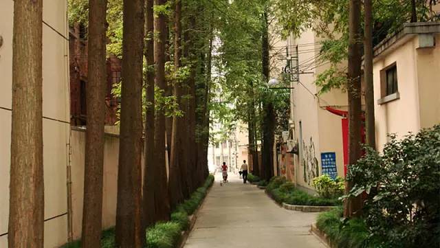 魔都最值得逛的76条马路,你都逛过了吗?