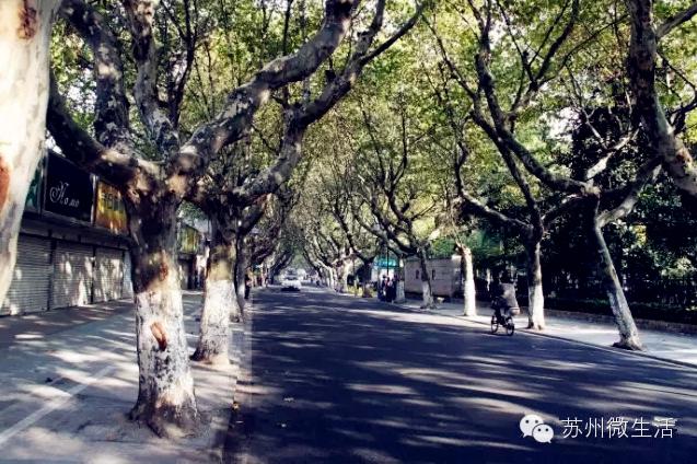 苏州美食商业街排名,苏州美食街区有哪些