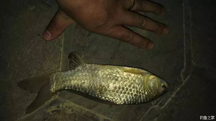 久违的晴天歌词,久违的晴天