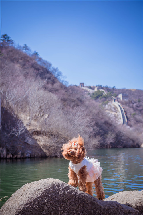 回顾欧帝亿和你相遇春の水长城
