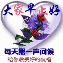 中国青少年网瘾调查报告,网瘾少年与父母的实践报告