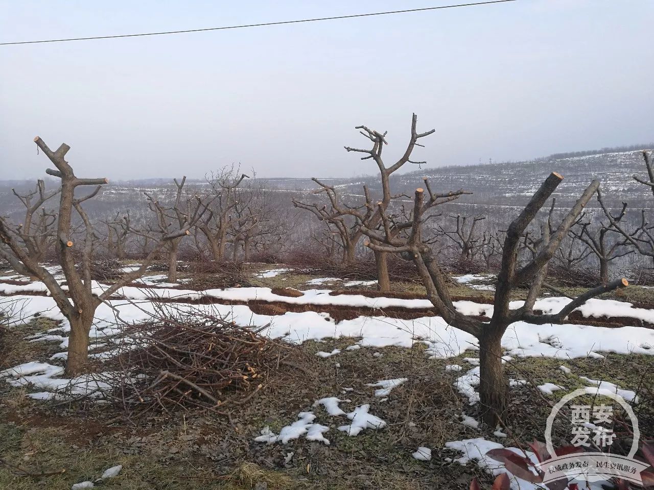 永康书记冬日再访贫困户，这里的变化暖进人心坎儿