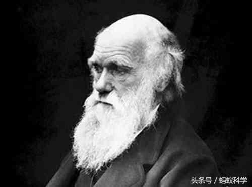 达尔文生物进化论视频,达尔文进化论无法解释
