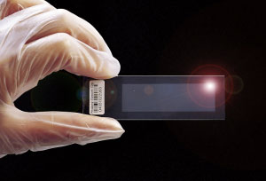 生物芯片是做什么的,生物芯片有什么技术需要解决