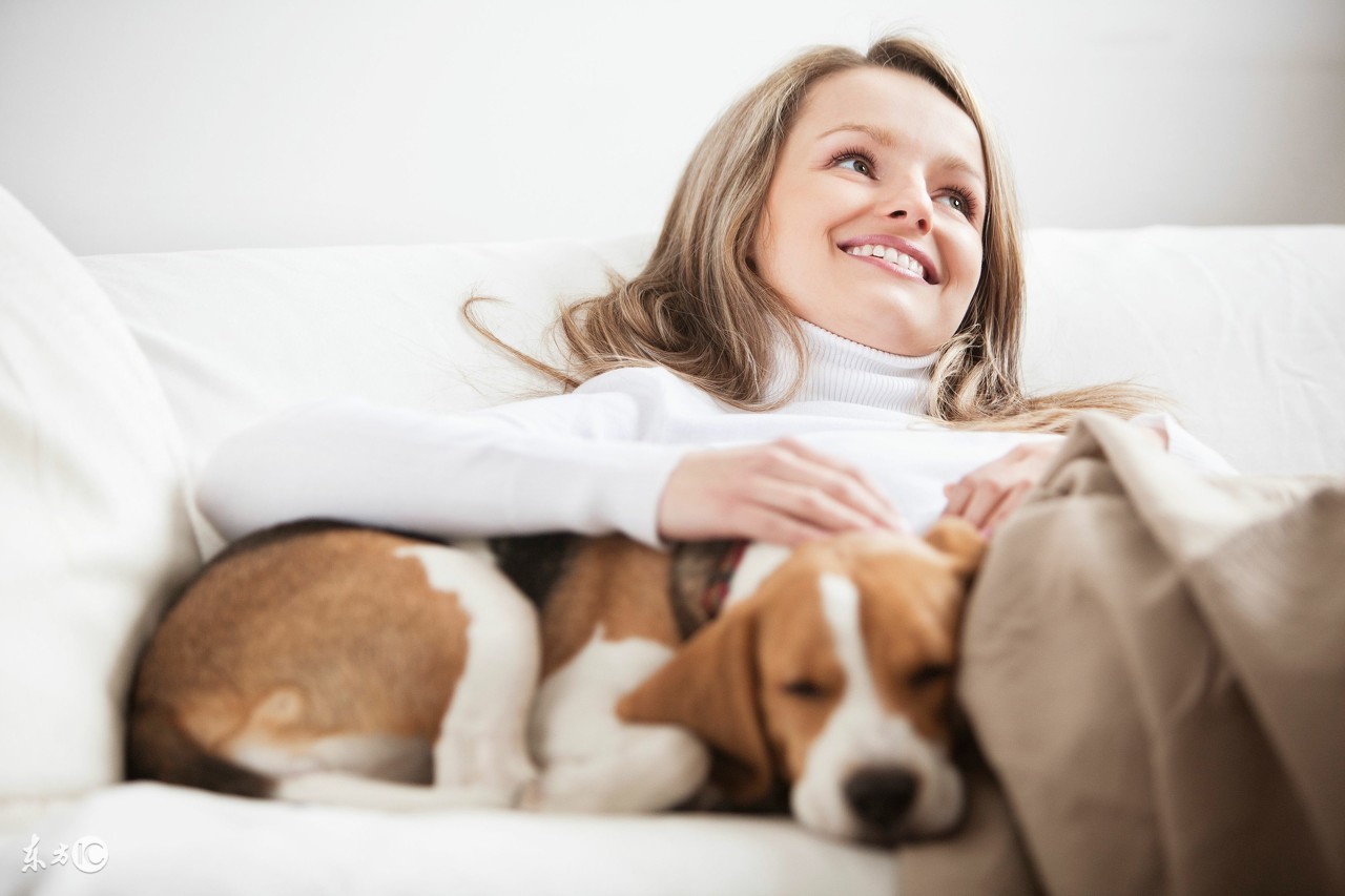 幼儿园简单的动物灯笼手工视频,制作狗狗灯笼儿童手工
