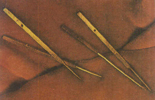 中国有哪些逆天的*物文**?