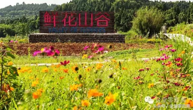 厉害了！金堂县又要火了，她即将代表中国走向世界！