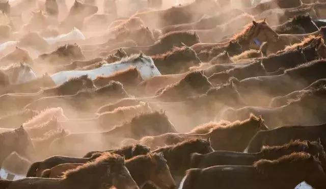 手机能存多少张照片,手机里千万别存的照片