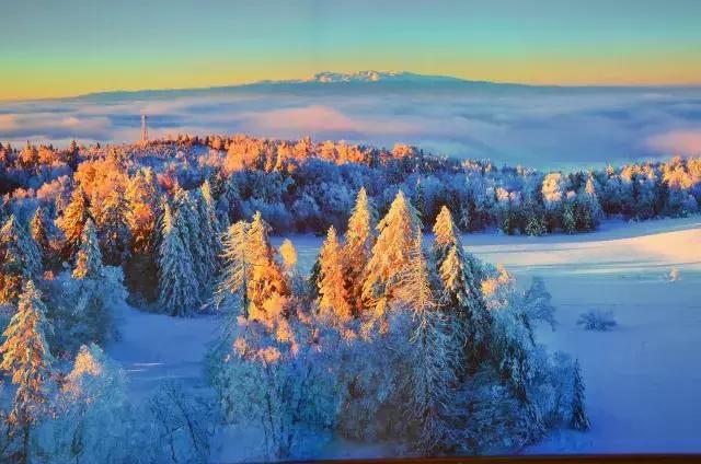 春节去哪里玩最热,春节去哪儿度假最暖和