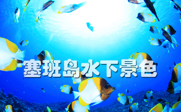 去塞班岛玩要多少钱,去塞班岛要多少钱一天