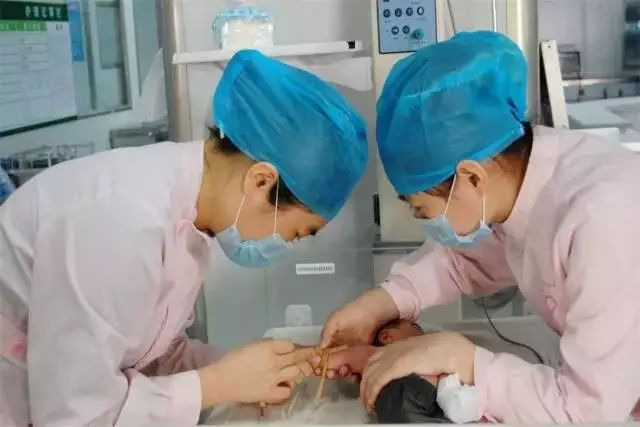 明天起，郑州这些东西统统免费！不知道你就亏大了！