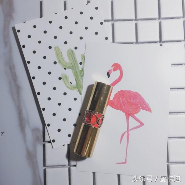 ysl推荐最值得入手款,收集了很多好久才收集到的虫子