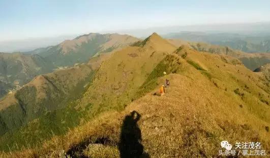 高州各镇历史来历,高州市有多少个镇街