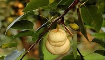 长生不老的秘密配方,长生不老的小技巧