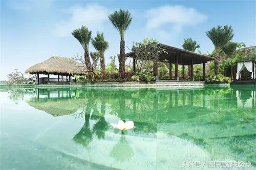 福州最便宜性价比最高的温泉,福州真正的温泉在哪里