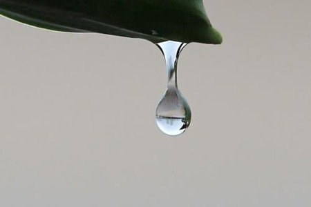 遇到快饿死的人对你呼唤求救，你是否会去救急？还是见死不救？