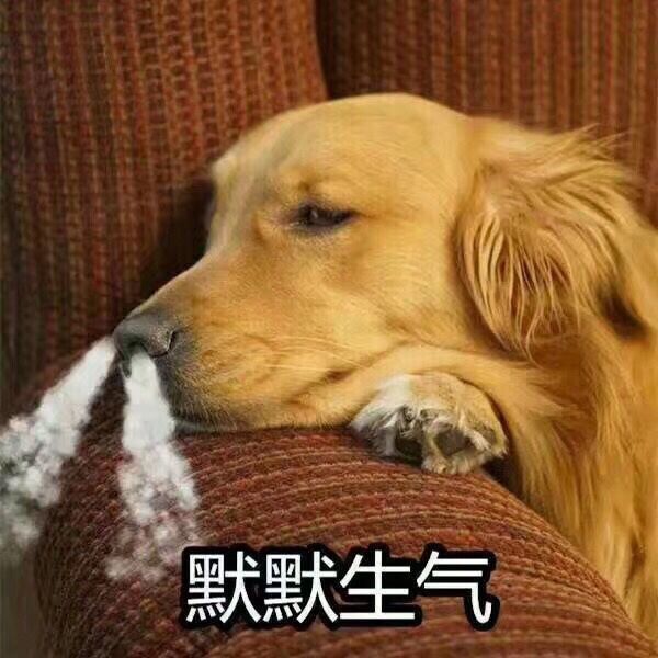 老外能不能放过中华风？我们的东西都被糟蹋成啥样了