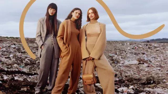 stella mccartney官网旗舰店 (stella mccartney adidas)