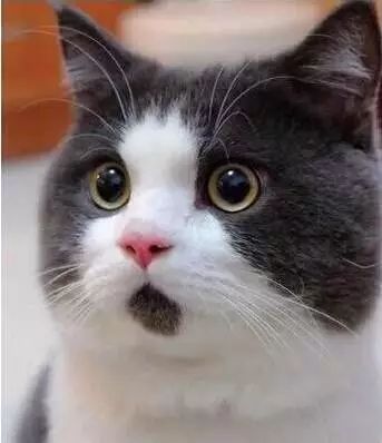 香港高铁单程票,广州香港高铁票价